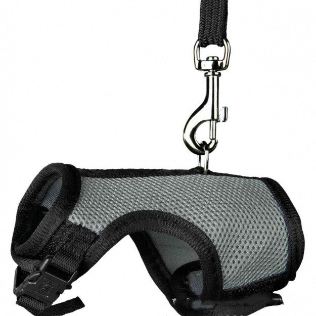 Discover the Perfect Leash for Your Small Pet