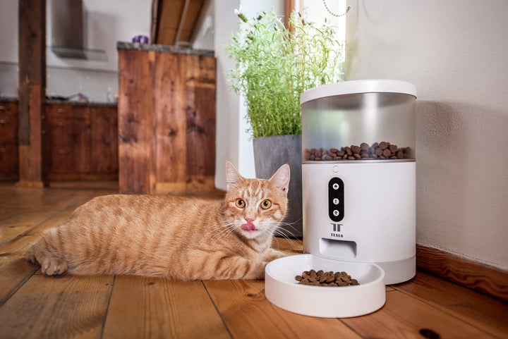 Smart Tips For Pet Feeding