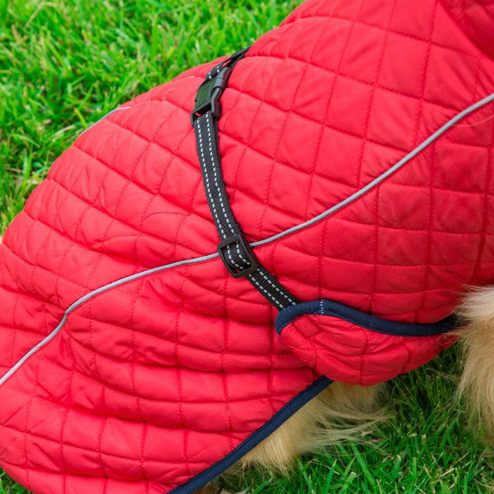 Keep Your Furry Friend Cozy with Our Adjustable Warm Cotton Pet Jacket