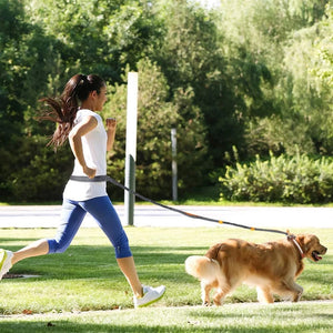 Discover the Ultimate Adjustable Pet Harness and Jogging Leash