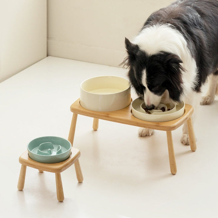 Enhance Your Pet's Dining Experience with Our Ceramic Pet Slow Feeding Bowl